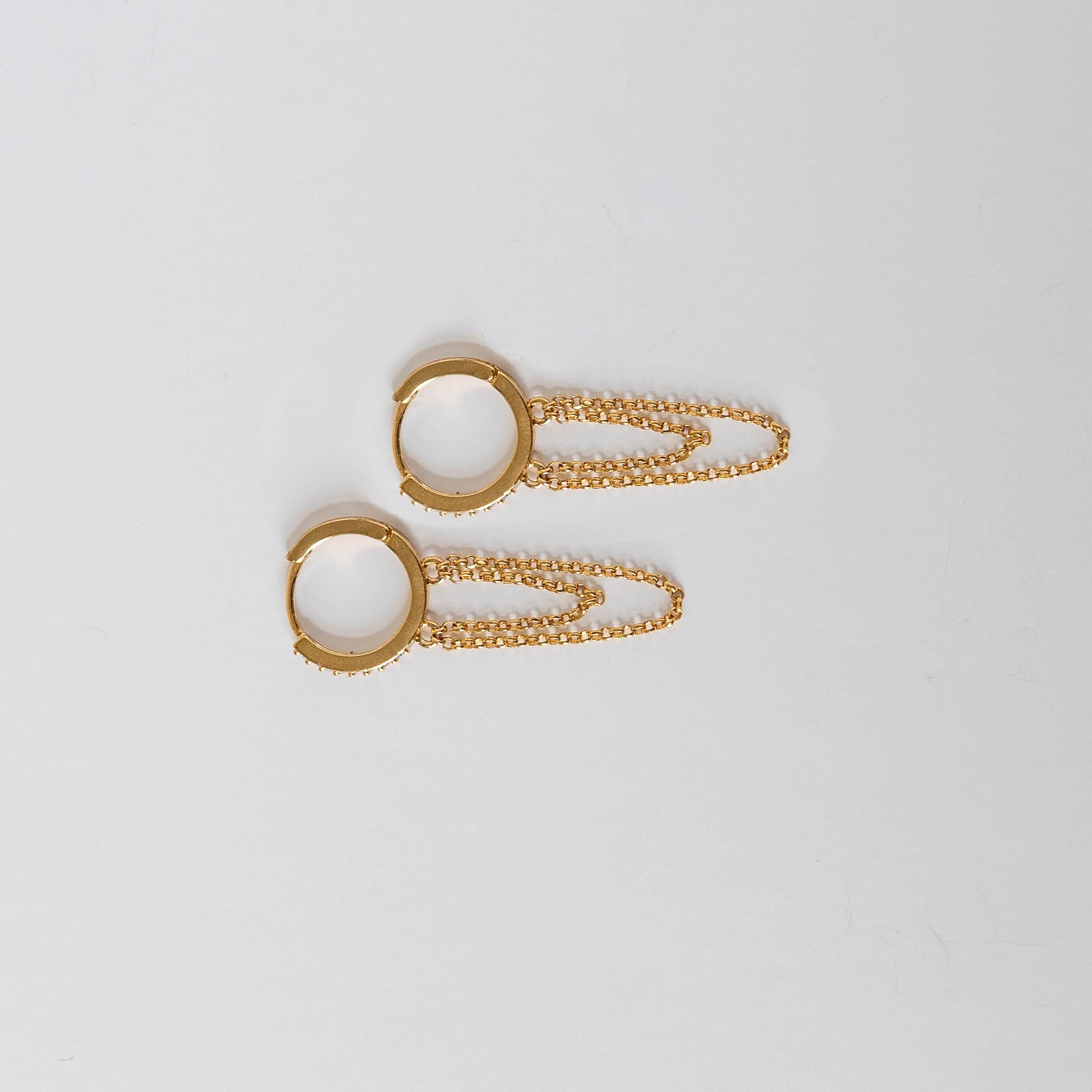 Double Vision Earrings